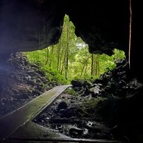 Networking Trip Tourism Malaysia & Tourism Product Audit to Borneo Jazz Festival, Miri and Gunung Mulu National Park Siri 2/2022