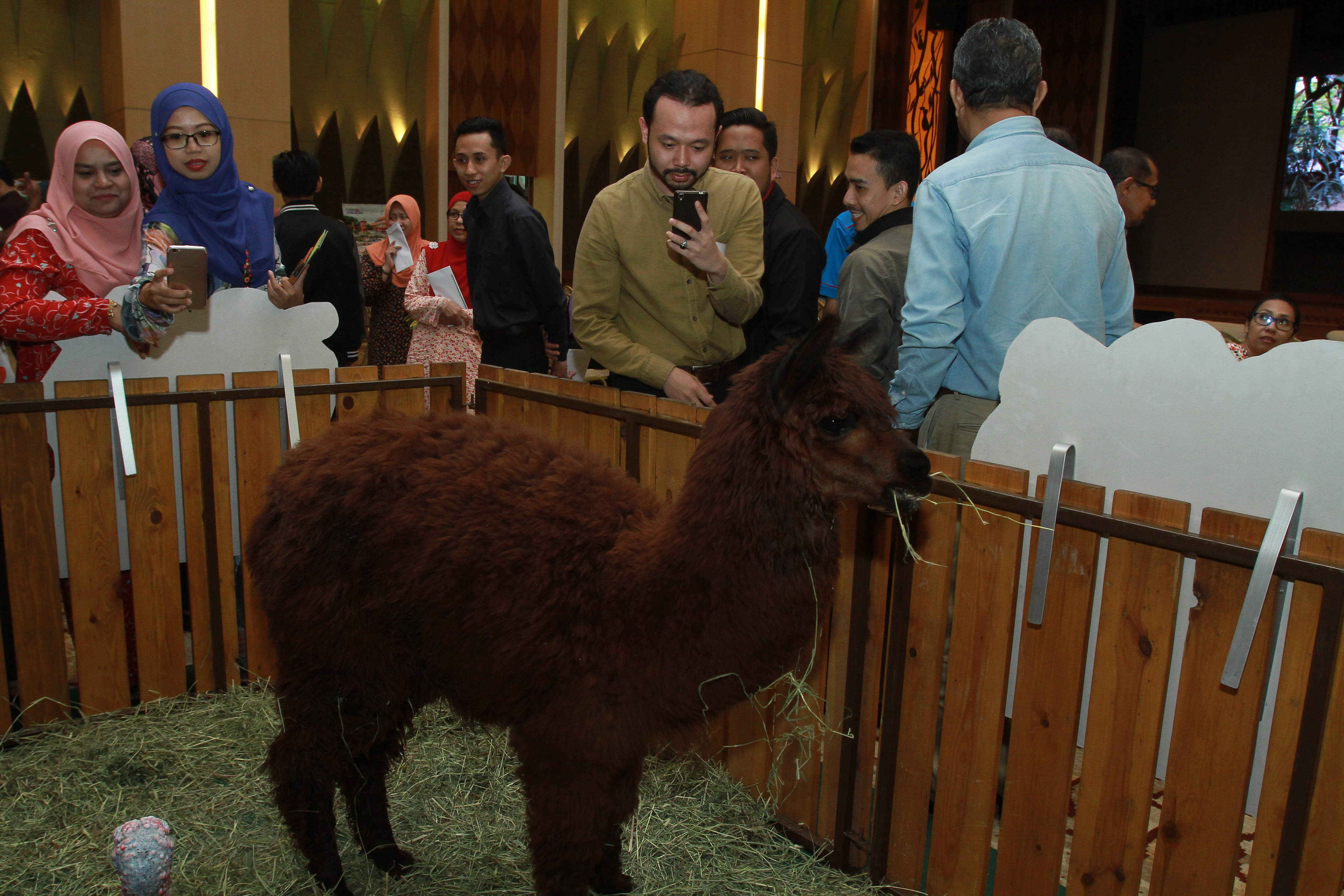 TM Networking Day with Farm In The City