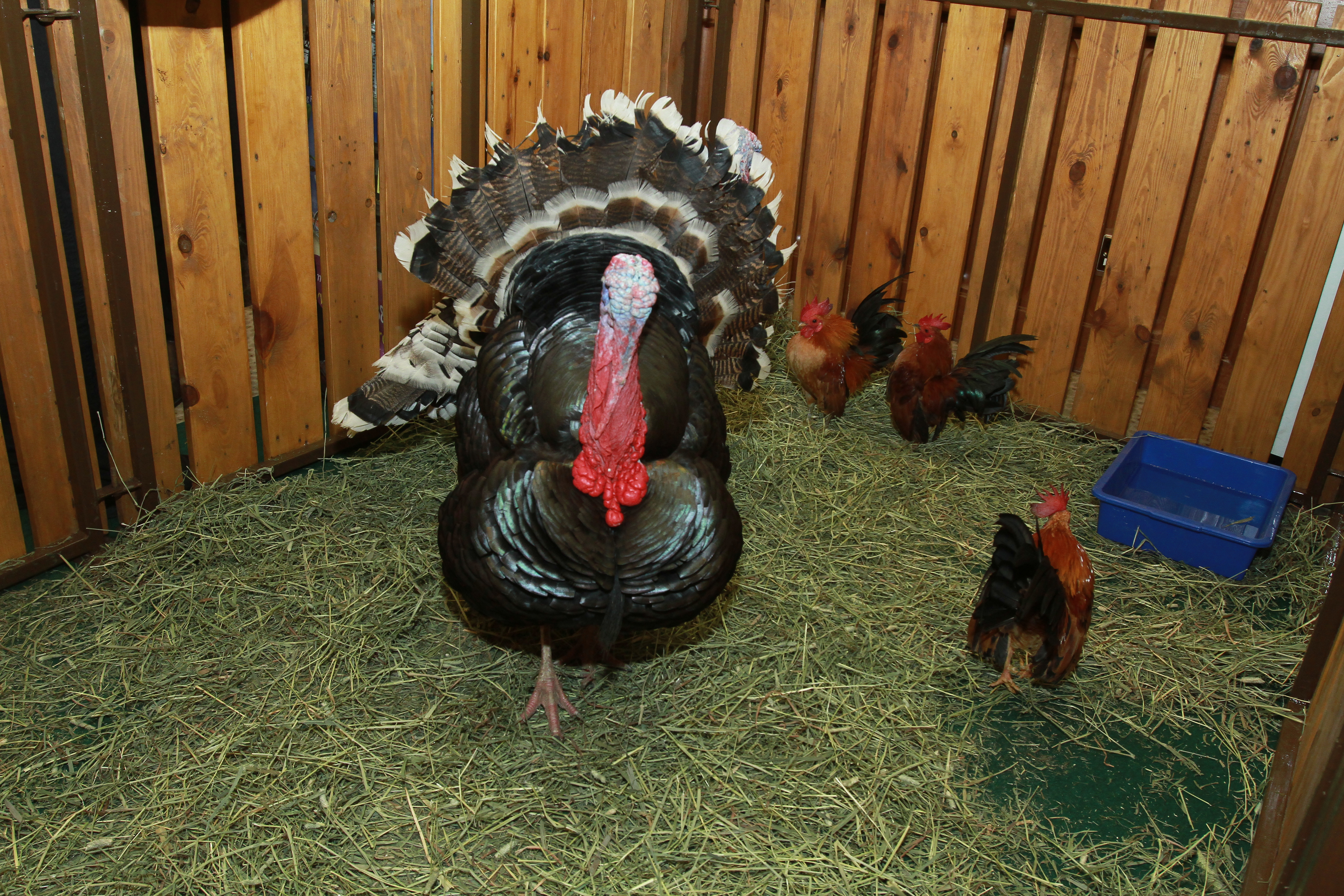 TM Networking Day with Farm In The City