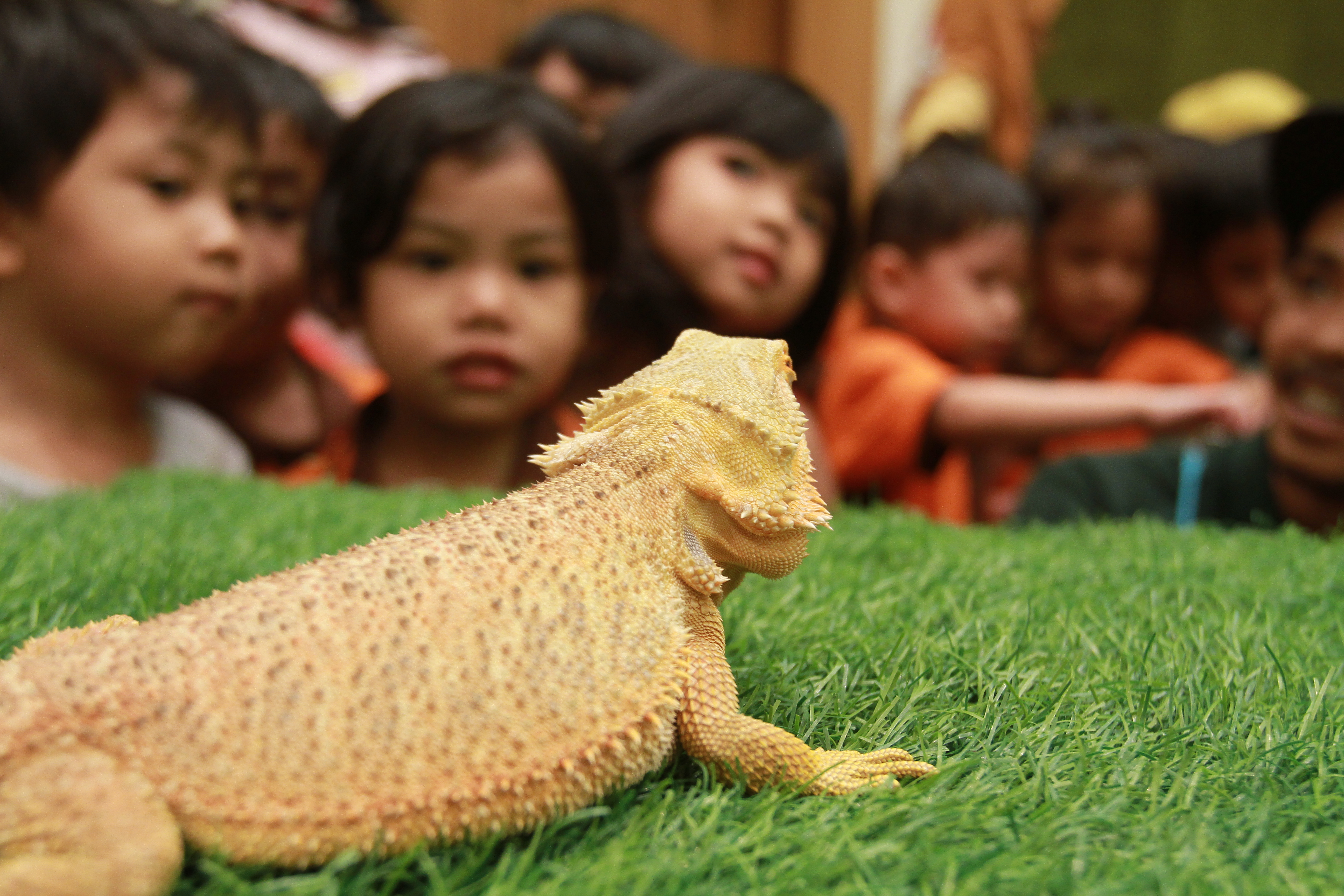 TM Networking Day with Farm In The City