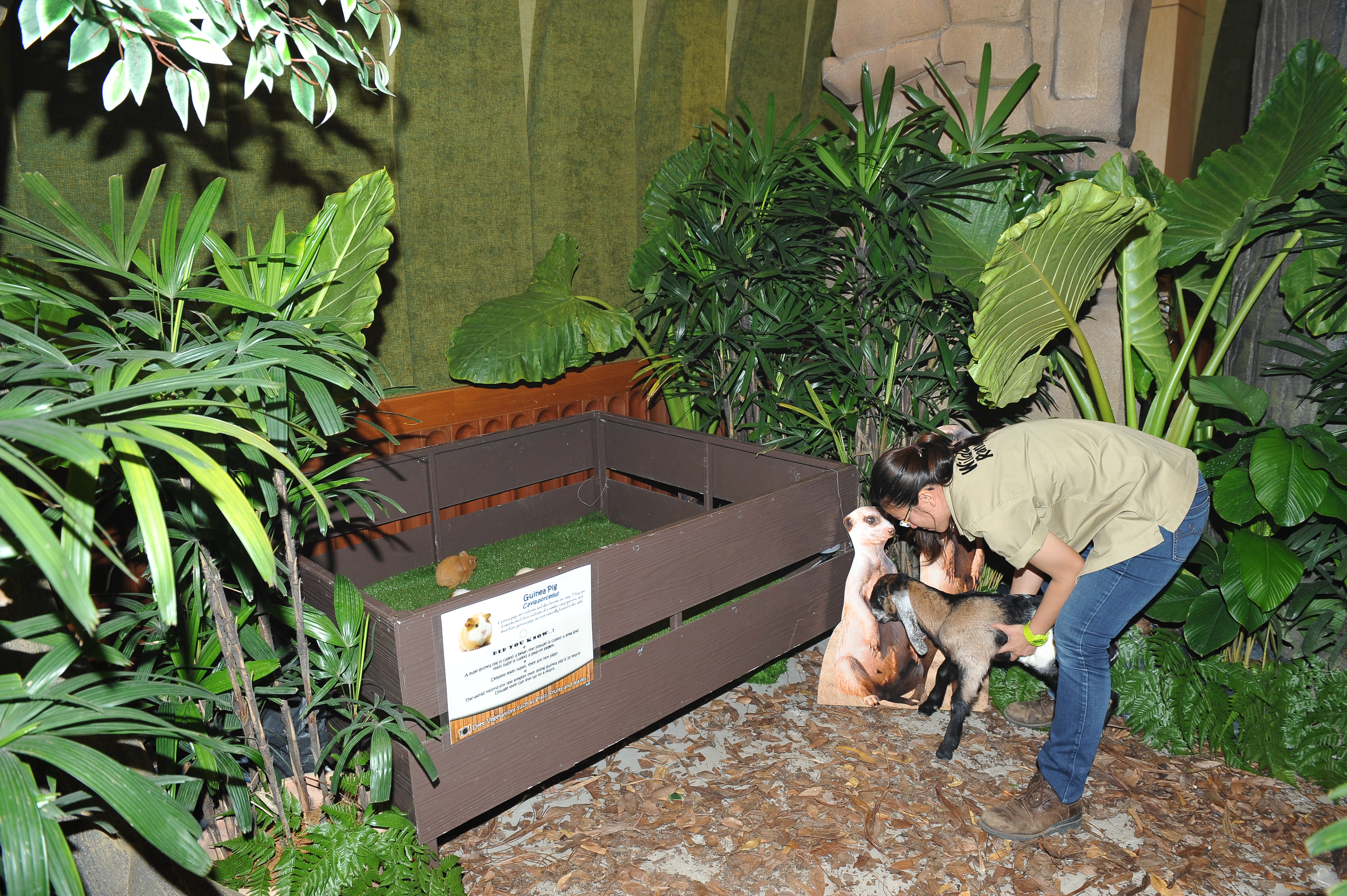 TM Networking Day with Sunway Lagoon