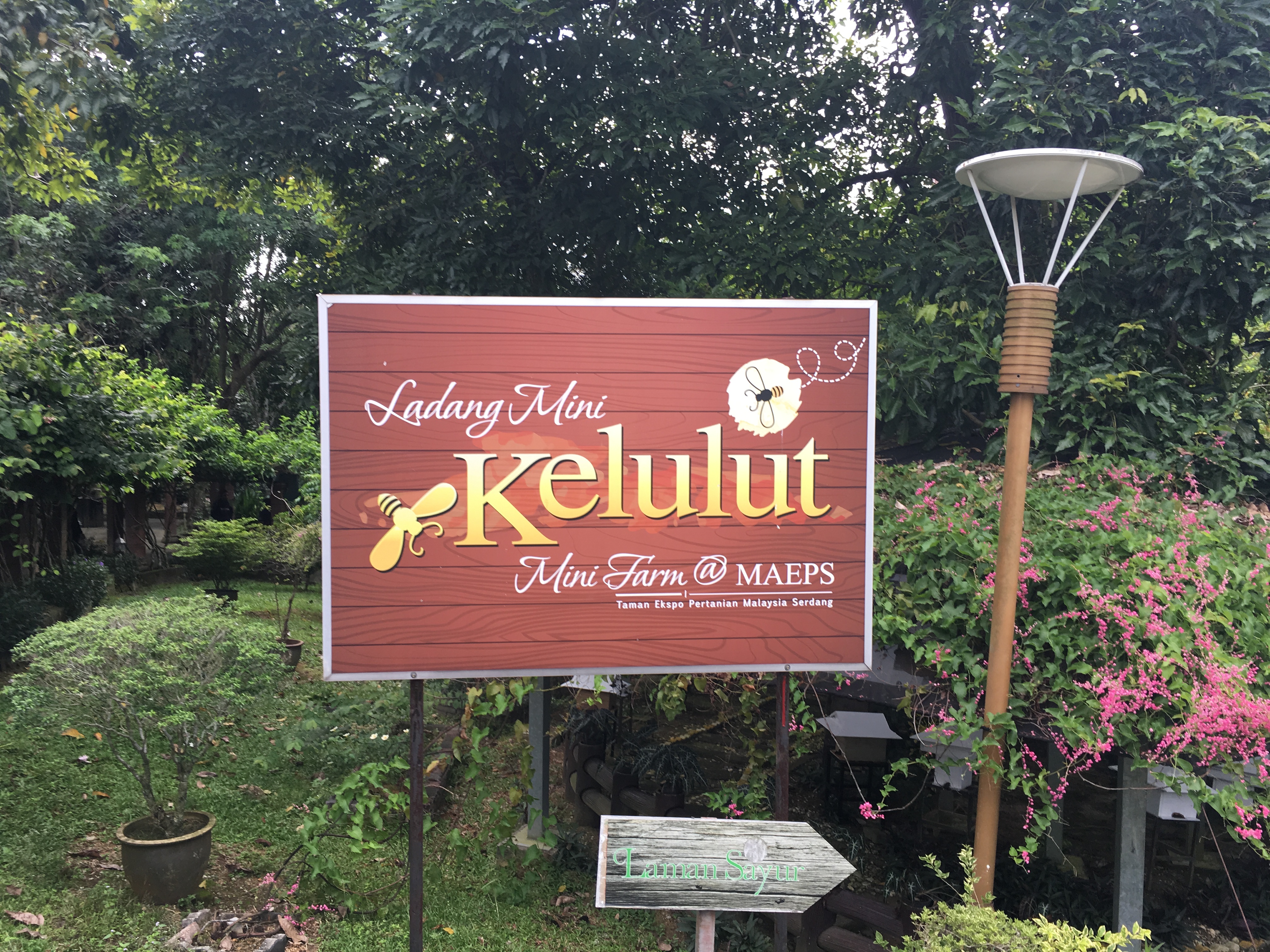 TM Product Update - MAEPS & Le Meridian