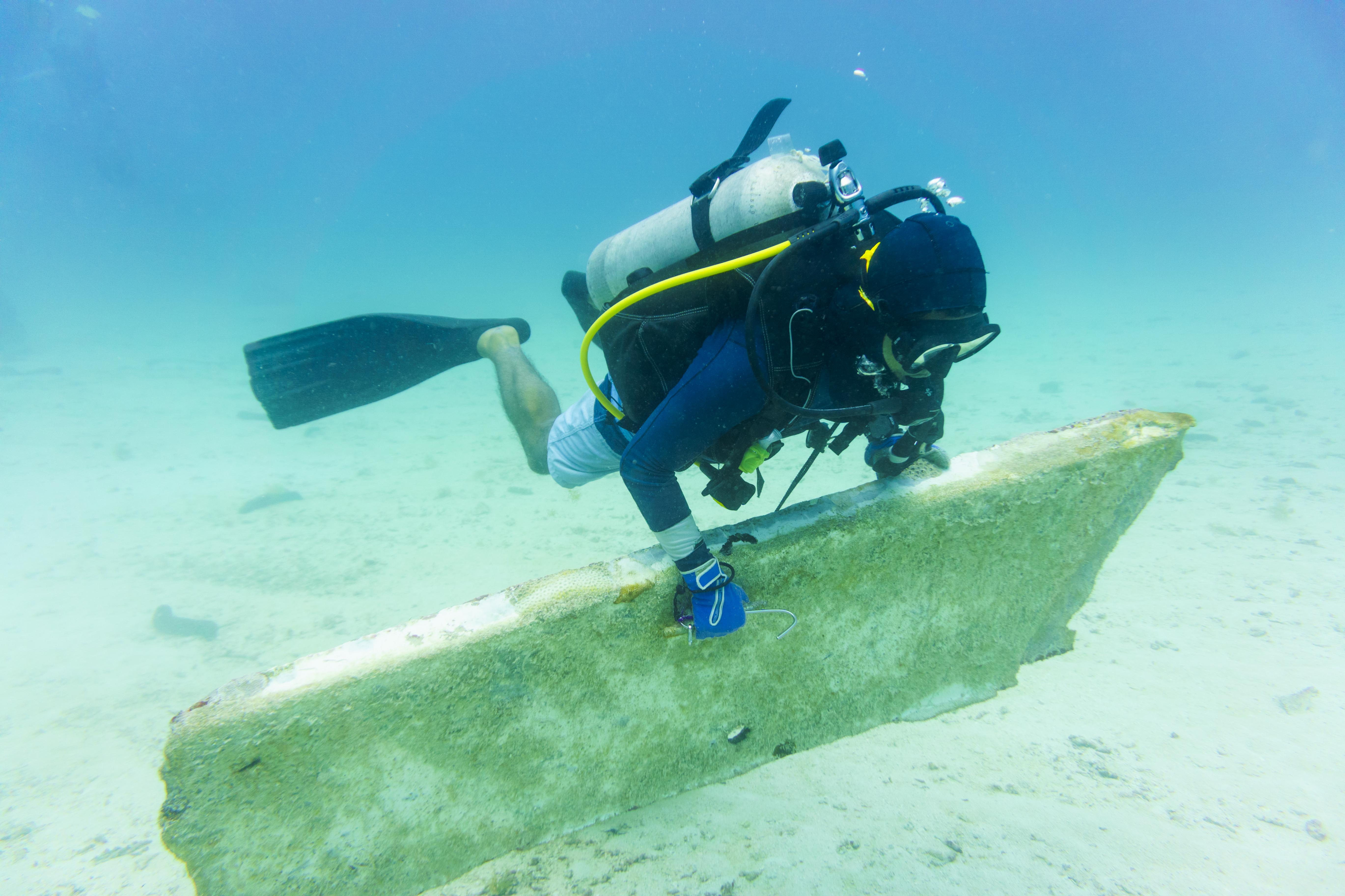 Redang Island Conservation Day 2018 - The Taaras Beach & Spa Resort