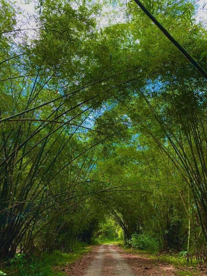 Networking Trip Paya Indah Discovery Wetlands (PIDW) Gamuda Cove, Dengkil