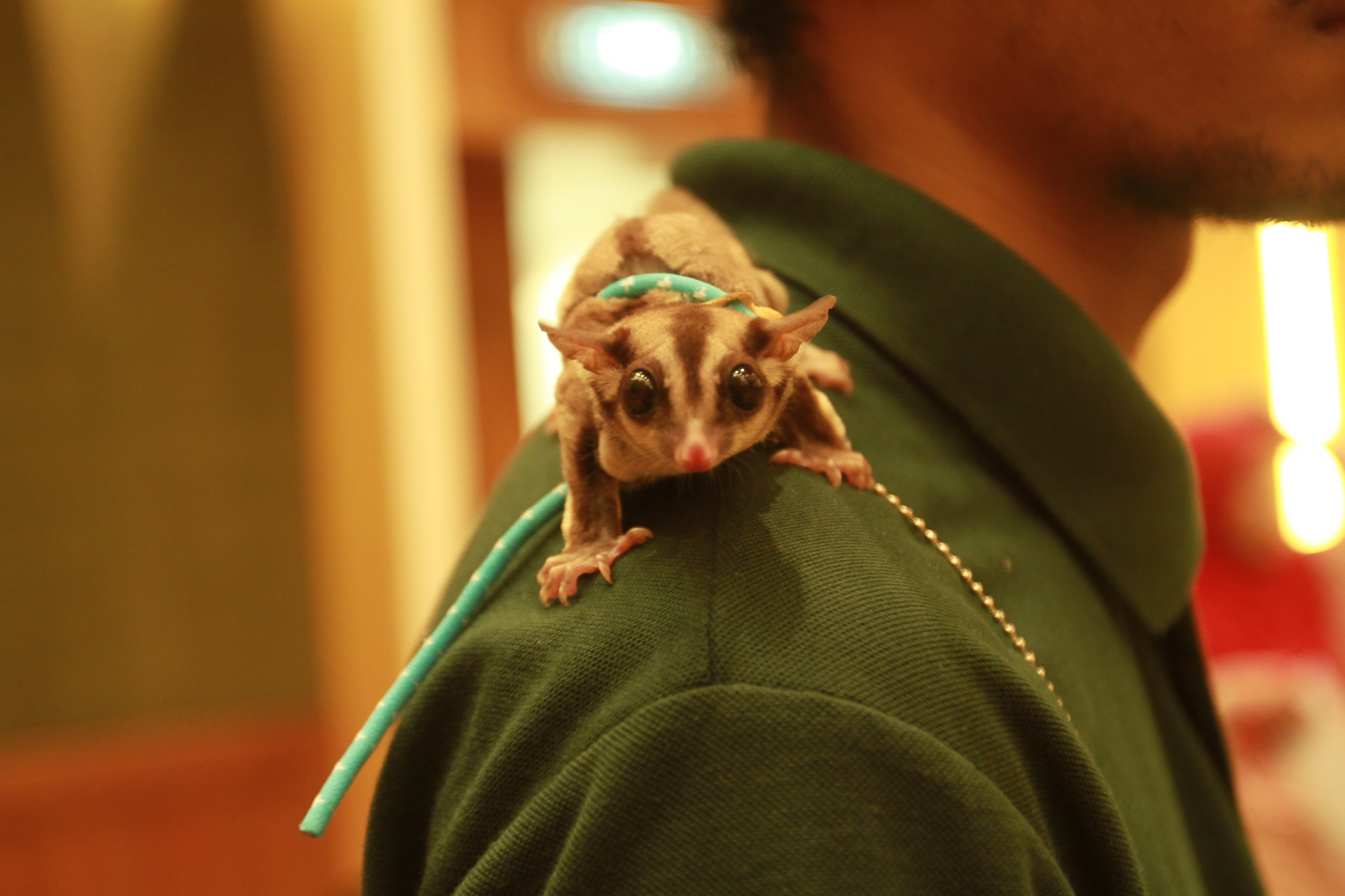 TM Networking Day with Farm In The City