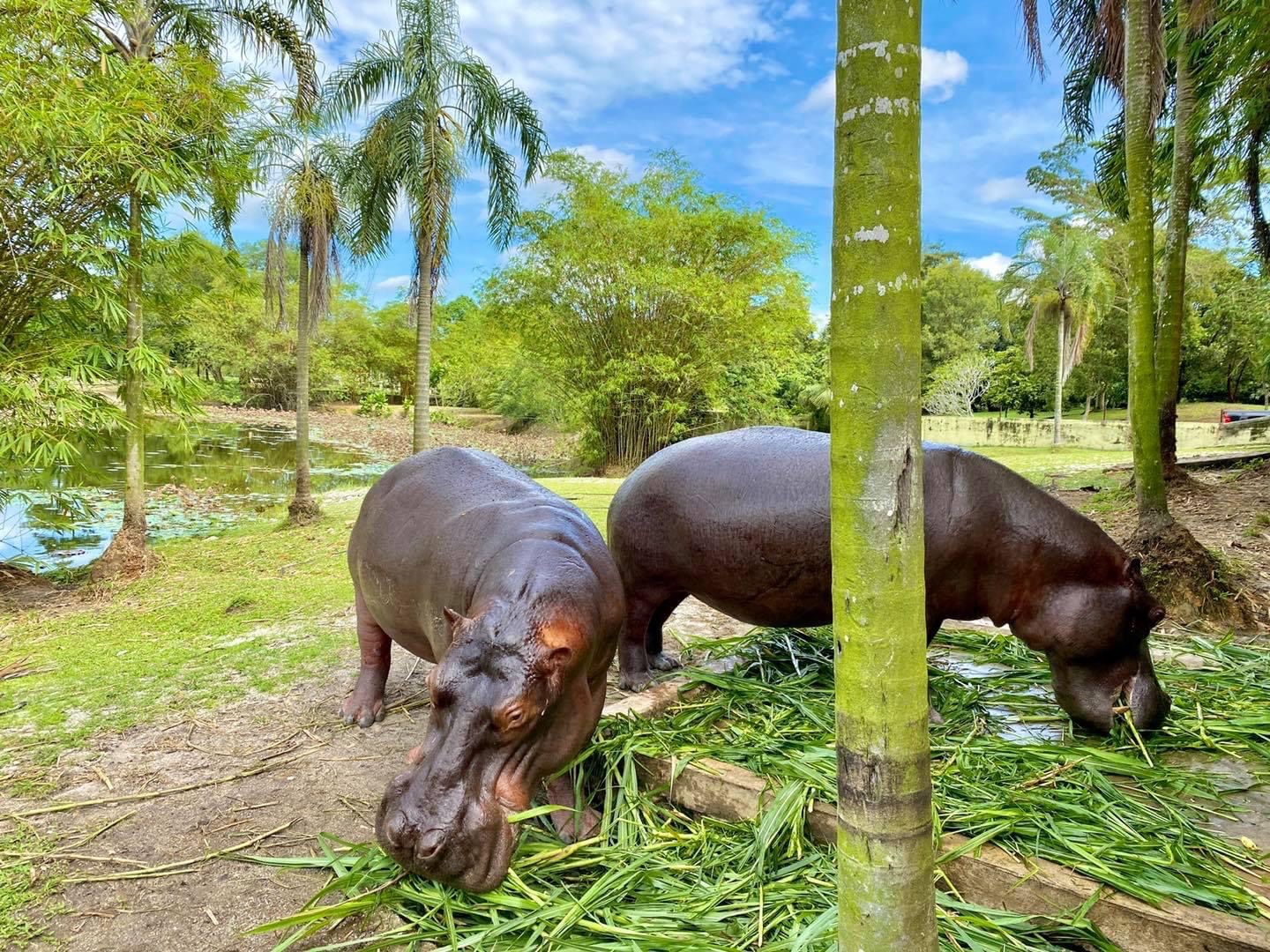 Networking Trip Paya Indah Discovery Wetlands (PIDW) Gamuda Cove, Dengkil