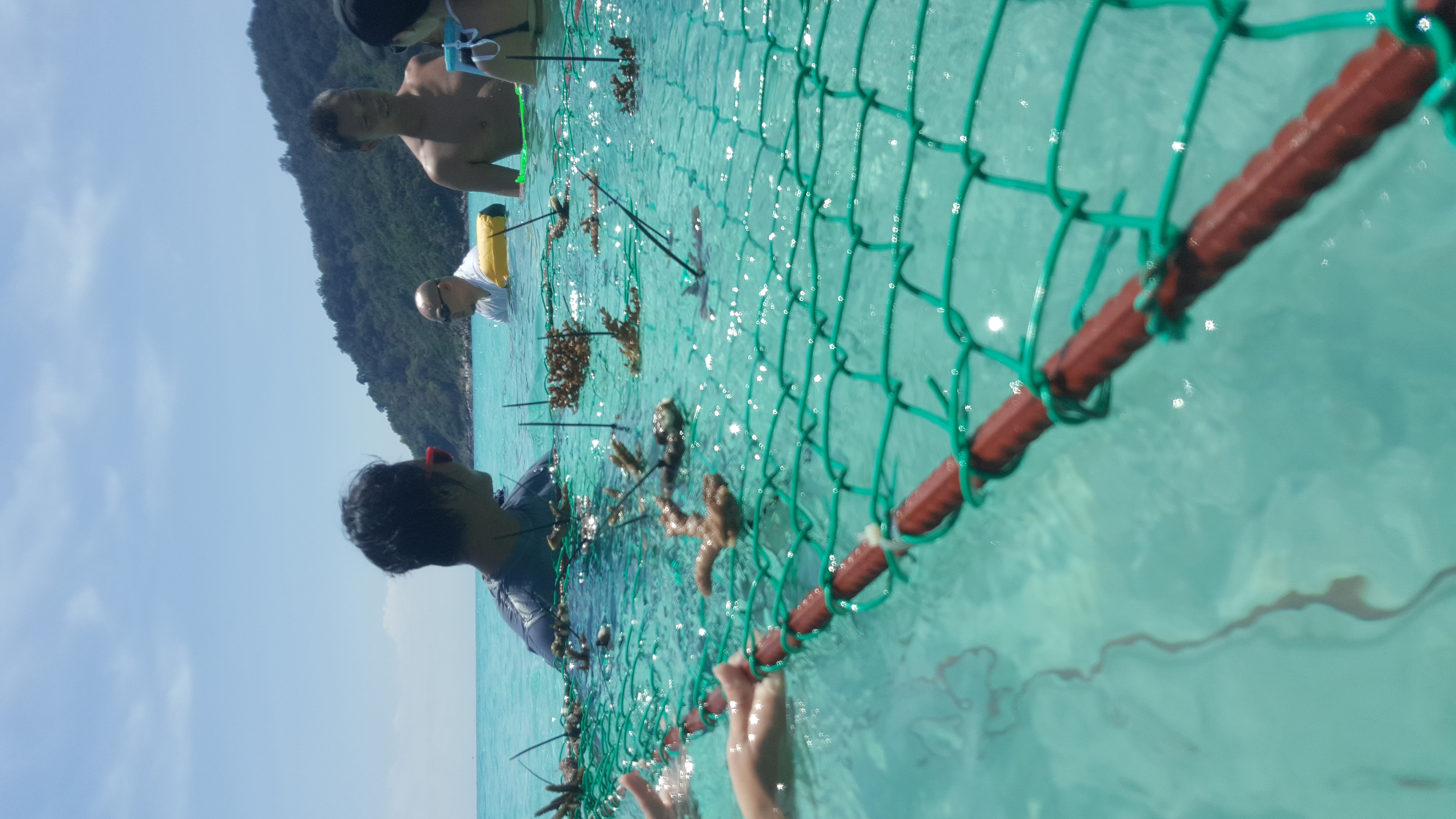 Redang Island Conservation Day 2018 - The Taaras Beach & Spa Resort