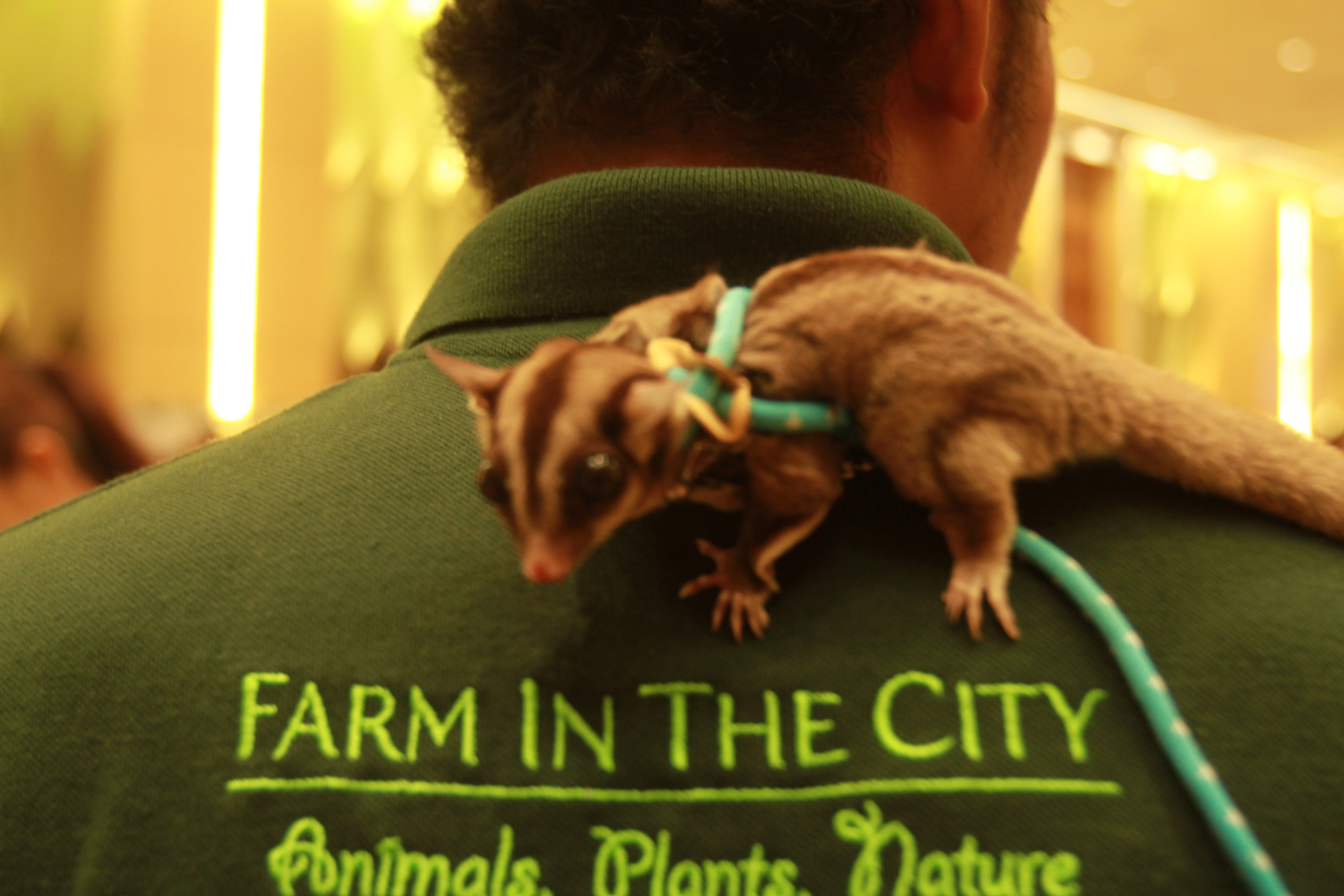 TM Networking Day with Farm In The City