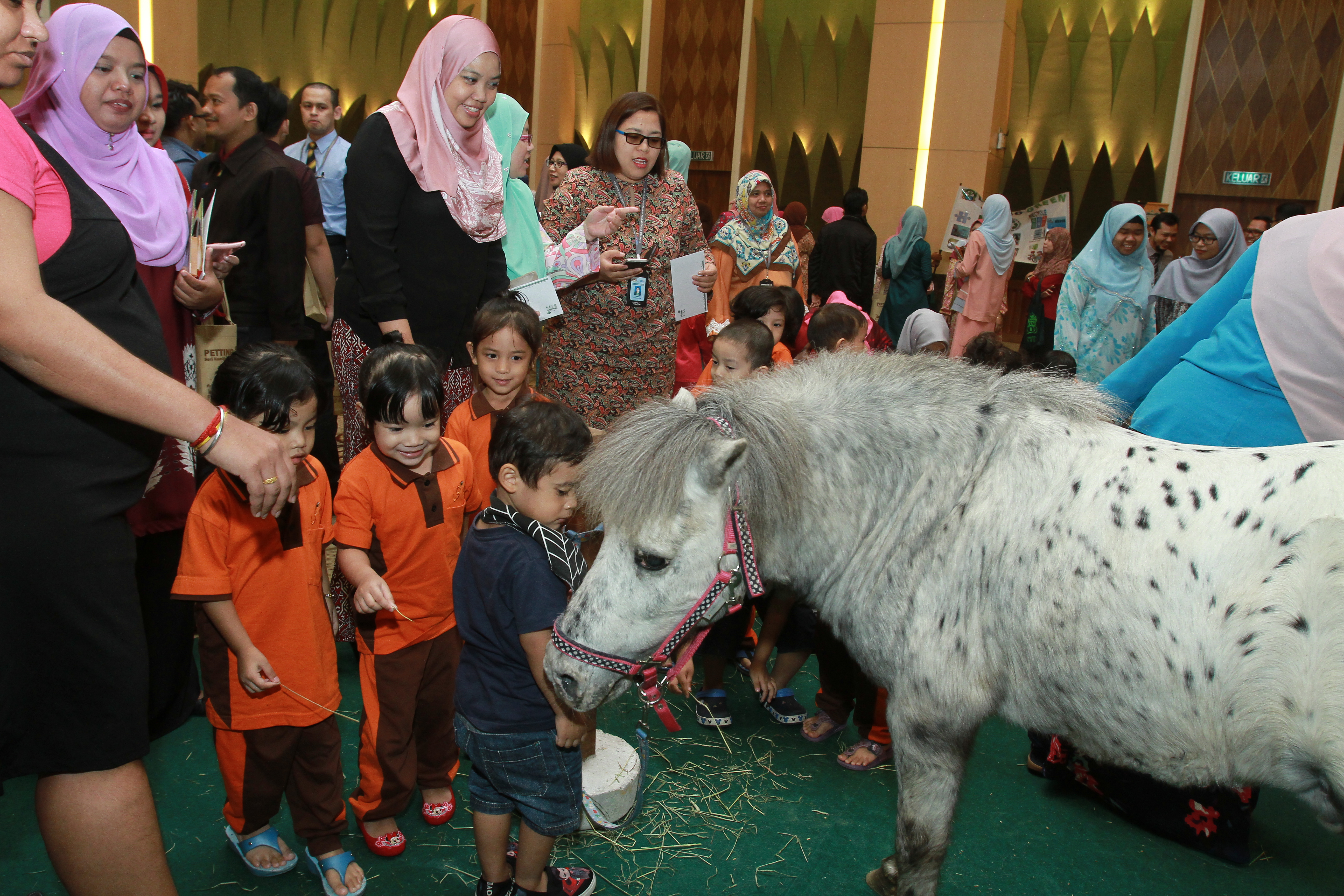 TM Networking Day with Farm In The City